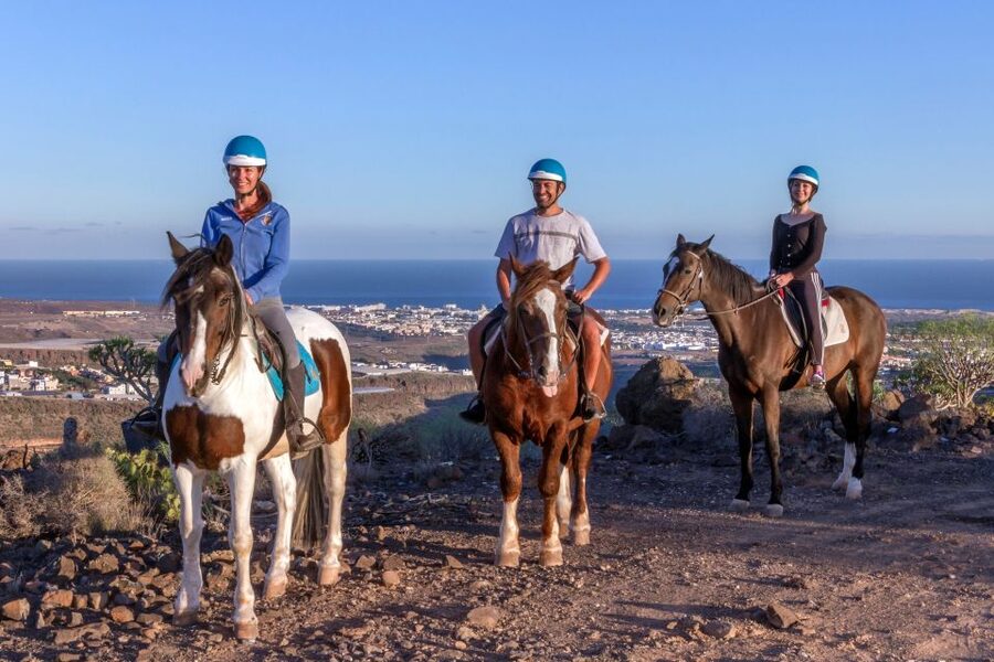 El Salobre: Horse Riding Adventure with Transfer Options - How the horses are treated