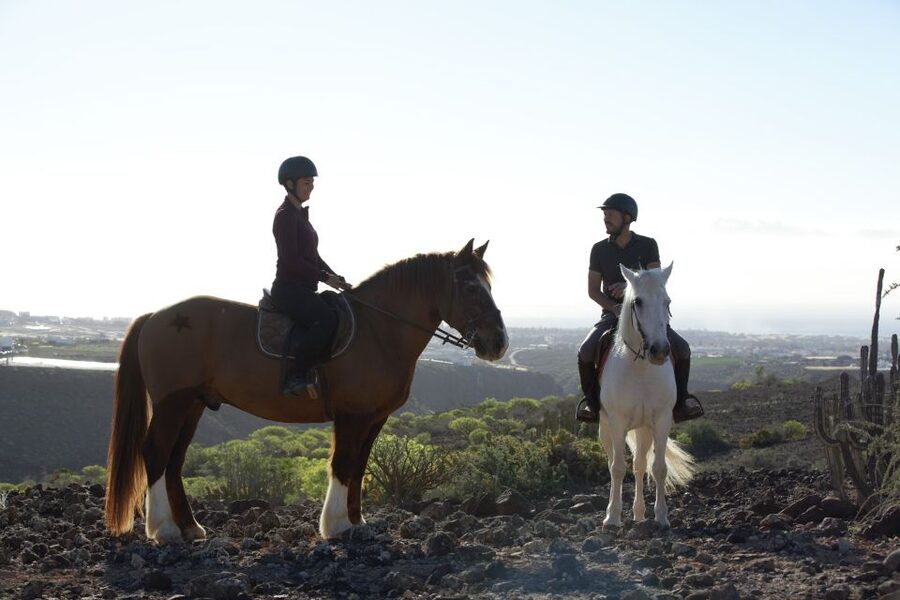 El Salobre: Horse Riding Adventure with Transfer Options - Is $44 good value?
