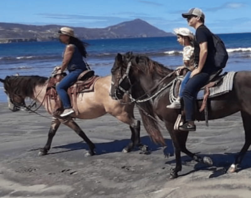 Ensenada: Horseback Riding at Playa Hermosa Beach - What $64 buys you