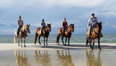 Ensenada: Horseback riding in the beach