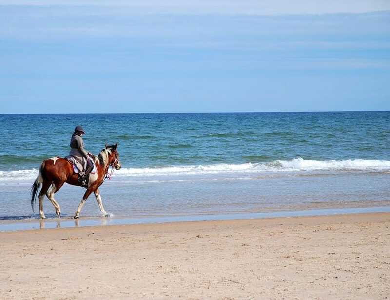 Ensenada: Horseback riding in the beach - Who should book this experience?