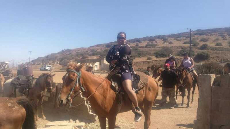 Ensenada: La Bufadora and Horseback Riding at Punta Banda - Pickup, vehicles, and the small-group setup