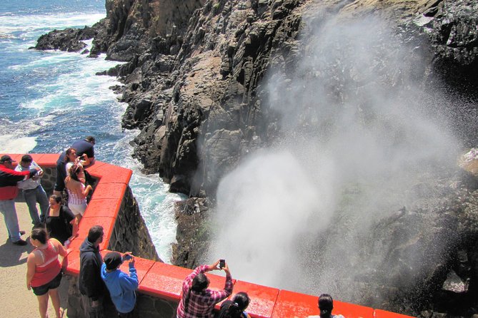 Ensenada Shore Excursion: Blowhole and La Bufadora Tour with Horseback Riding - Who Should Book This Private Excursion?