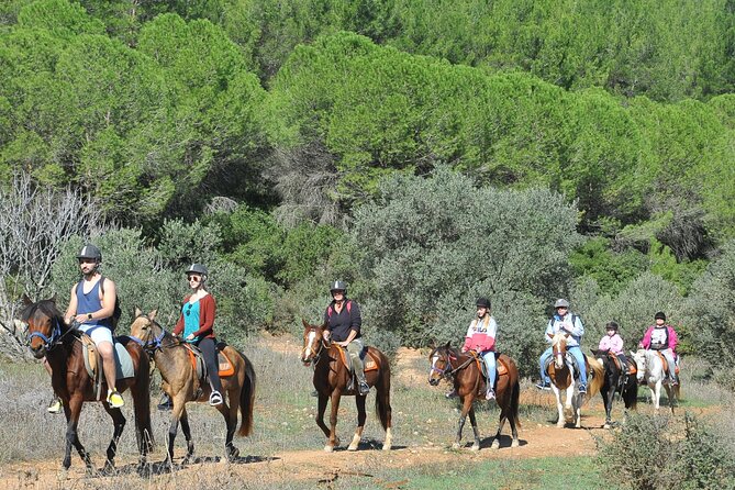 Ephesus Full Day Tour & Horse Safari + Lunch - Opt Turkish Bath - What the price really buys you