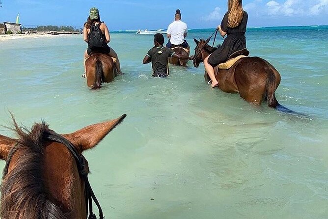 Epic Horseback Ride & Swim and Blue Hole From Montego Bay Private - The Blue Hole and Secret Falls stop