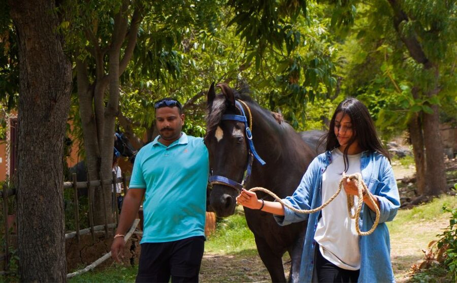 Equestrian Escape: Horse Safari Adventure - Practical tips for a smoother visit