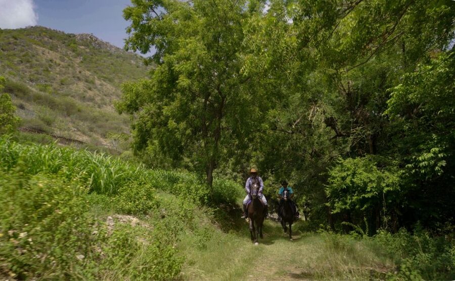 Equestrian Escape: Horse Safari Adventure - Meeting Dinesh, the rancher and horse guide