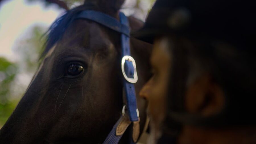 Equestrian Escape: Horse Safari Adventure - Why the human-horse connection matters