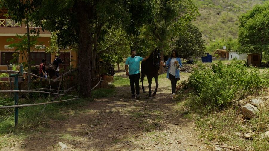 Equestrian Escape: Horse Safari Adventure - The Marwari horse and Rajasthan’s equestrian tradition