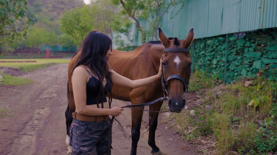 Equestrian Escape: Horse Safari Adventure - Is $104 a fair price?