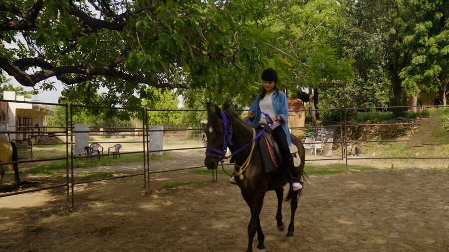 Equestrian Escape: Horse Safari Adventure - Who will enjoy this horse safari most?