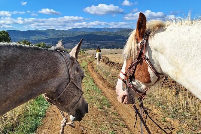 Escape Sofia: horse ride through Bulgaria´s beauty - Meeting Elisabeth and preparing your horse
