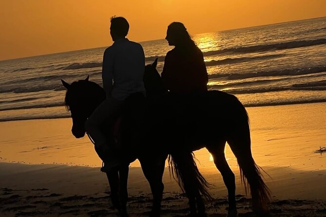 Essaouira Beach Horse Rides &Treks for All Levels - What the Essaouira ride is really like