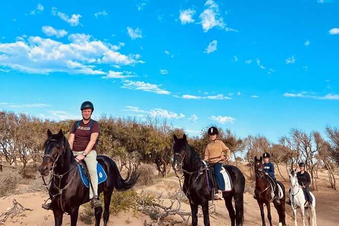 Essaouira Beach Horse Rides &Treks for All Levels - Golden dunes and open Atlantic beach