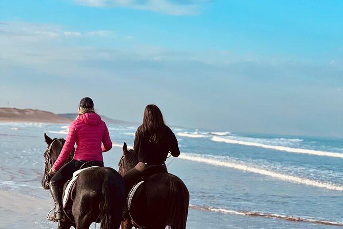 Essaouira Beach Horse Rides &Treks for All Levels - Why sunset is worth considering