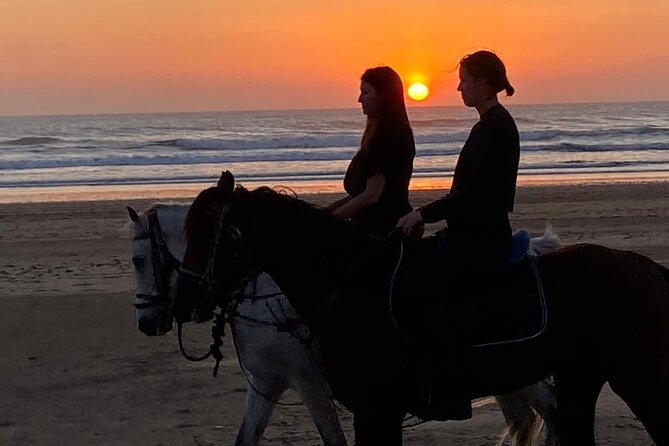 Essaouira Beach Horse Rides &Treks for All Levels - What experienced riders can expect