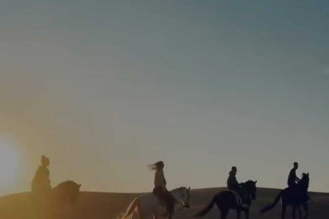 Essaouira Beach Horse Rides &Treks for All Levels - Photos, videos, and the human touch