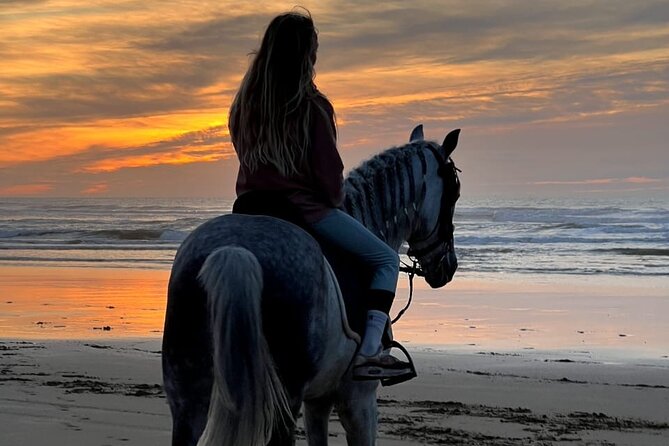 Essaouira Beach Horse Rides &Treks for All Levels - From Diabat to the argan forest