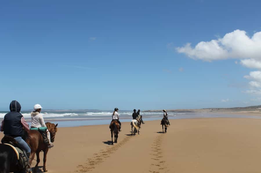 Essaouira: Full-Day Horse Riding Tour with Lunch - Choosing the right Arabian Berber horse