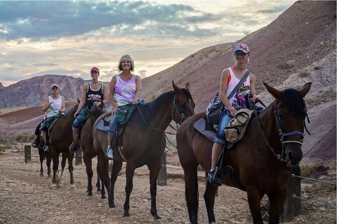 Evening Horseback Ride in Las Vegas - Is the Experience Worth the Price?