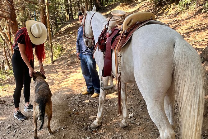 Exclusive Horseback Ride w/ Mexican Charros Family in México City - Why the rescue-horse mission matters