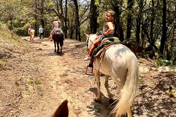 Exclusive Horseback Ride w/ Mexican Charros Family in México City - Lunch, tacos, and the best part of the afternoon