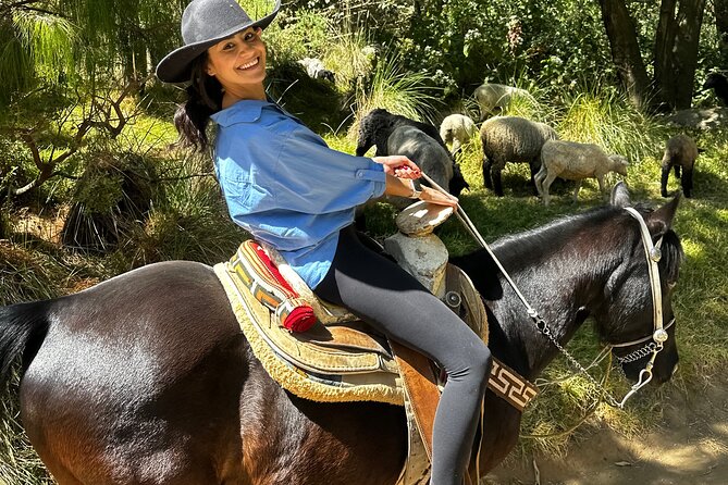 Exclusive Horseback Ride w/ Mexican Charros Family in México City - Safety, weather, and practical limits
