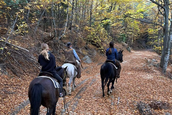 Exclusive Sofia: Nevsky, Vitosha Hoof, Boyana, Horse Ride & Spa - Sapareva Banya and the final mineral-water stop