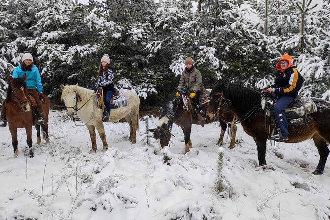 Exclusive Sofia: Nevsky, Vitosha Hoof, Boyana, Horse Ride & Spa - What the $281.77 price really covers