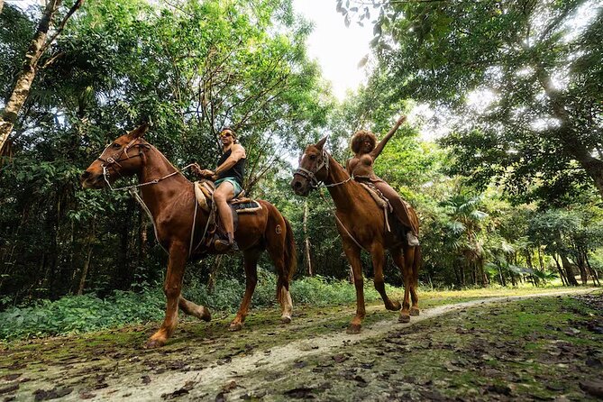 Experience ATV, Ziplines, Cenote and Horses Ride in Cancún - Key points to know before booking