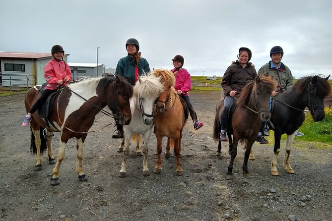 Experience Countryside of Iceland by Horseback Riding - The group pace favors beginners