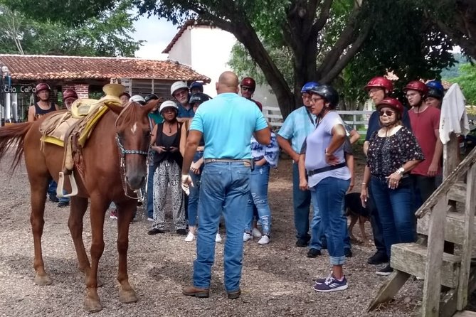 Experience Horse Riding, ATV & Zipline from Puerto Vallarta - Five things to know before you book
