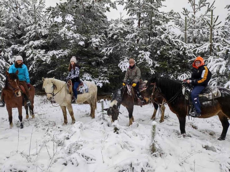 ✨Experience Sofia - nature, history, horse riding and SPA✨ - Should you book this Sofia escape?