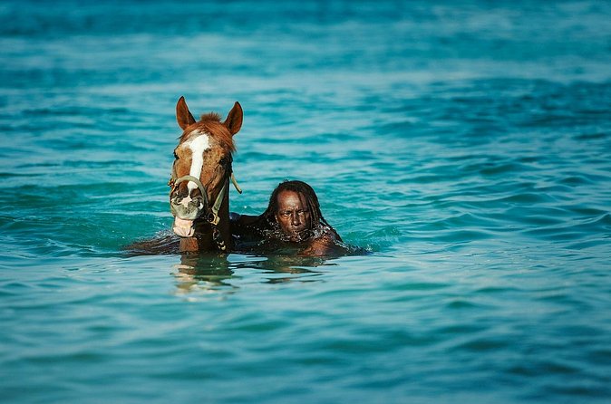 Experience the Swimming Horses at Carlisle Bay & the Garrison - The short drive around Barbados Garrison