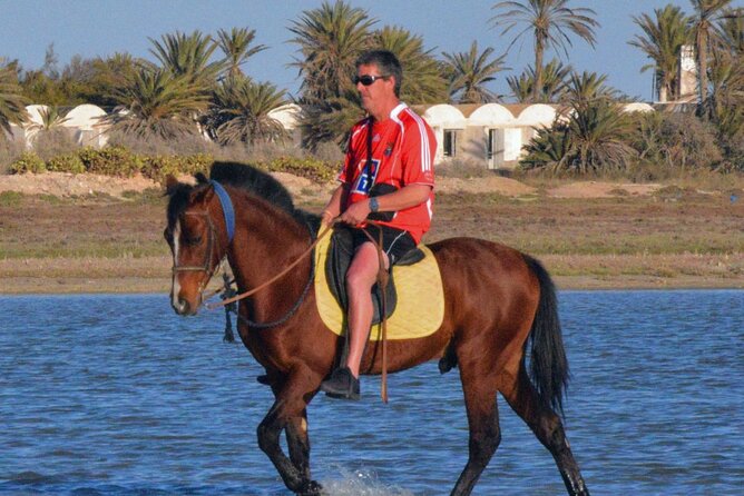 Explore Djerba by camel and horse - Why this ride feels different from a standard Djerba excursion