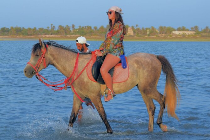 Explore Djerba by camel and horse - Following Berber tracks toward the lagoon