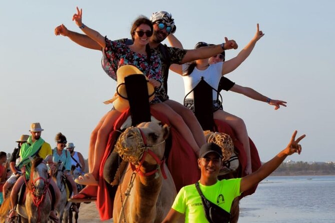Explore Djerba by camel and horse - The lagoon pause after about one hour