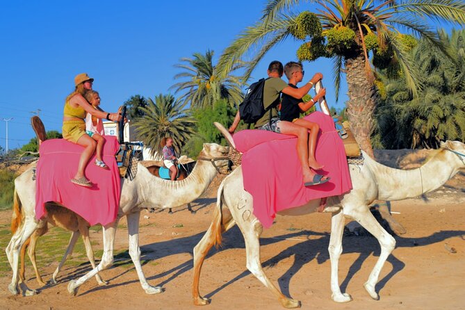 Explore Djerba by camel and horse - The return ride and the value of flexibility