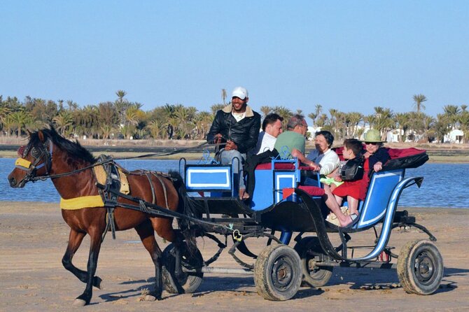 Explore Djerba by camel and horse - What the $42.97 price includes in practical terms