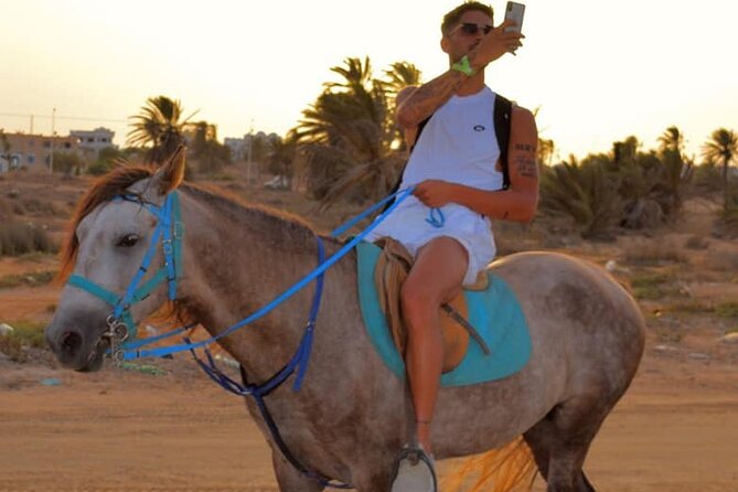 Explore Djerba by camel and horse - Choosing between camel, horse, and carriage
