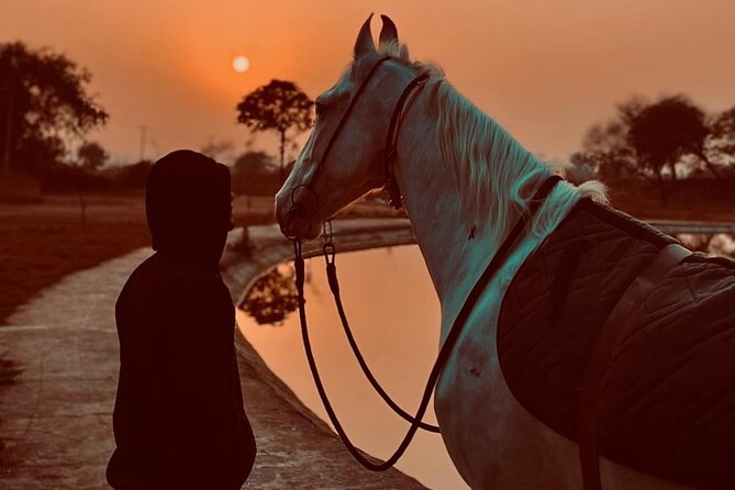 Explore The Desert &The Sea on a Horse Riding Cruise in Hurghada - Key points at a glance