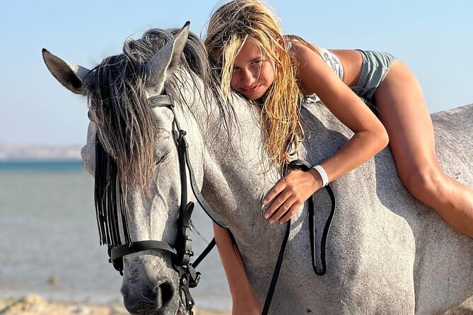 Explore The Desert &The Sea on a Horse Riding Cruise in Hurghada - Why This Hurghada Horse Ride Is Worth Considering