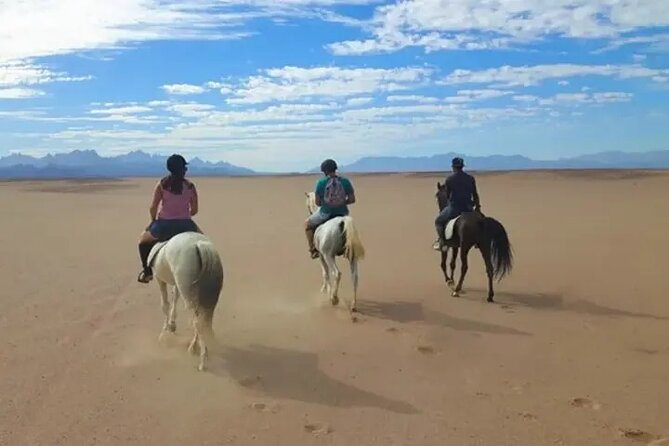 Explore The Desert &The Sea on a Horse Riding Cruise in Hurghada - The Sea Ride: Hurghada’s Most Unusual Horseback Moment