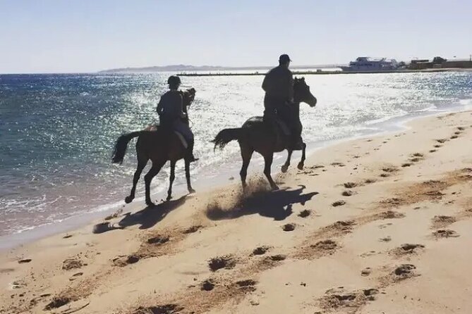 Explore The Desert &The Sea on a Horse Riding Cruise in Hurghada - What the Three-Hour Schedule Really Means