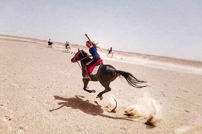 Explore The Desert &The Sea on a Horse Riding Cruise in Hurghada - Is $19.50 a Good Price?
