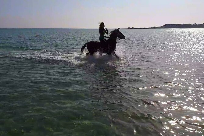 Explore The Desert &The Sea on a Horse Riding Cruise in Hurghada - What the Feedback Tells You About the Guides