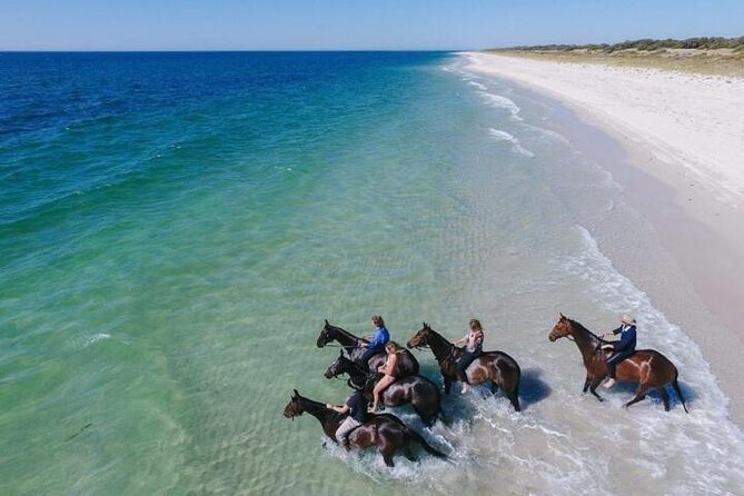 Explore The Desert &The Sea on a Horse Riding Cruise in Hurghada - Starting With Pickup and Pre-Ride Coaching