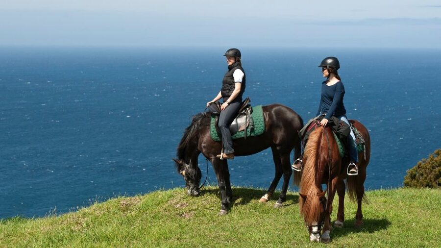 Faial Island: Horseback Riding (3 hrs - Experienced Riders) - Key points before you book