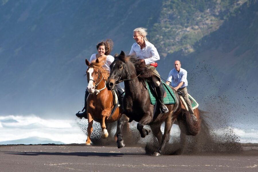 Faial Island: Horseback Riding (3 hrs - Experienced Riders) - Starting in Cedros with a horse and trail briefing