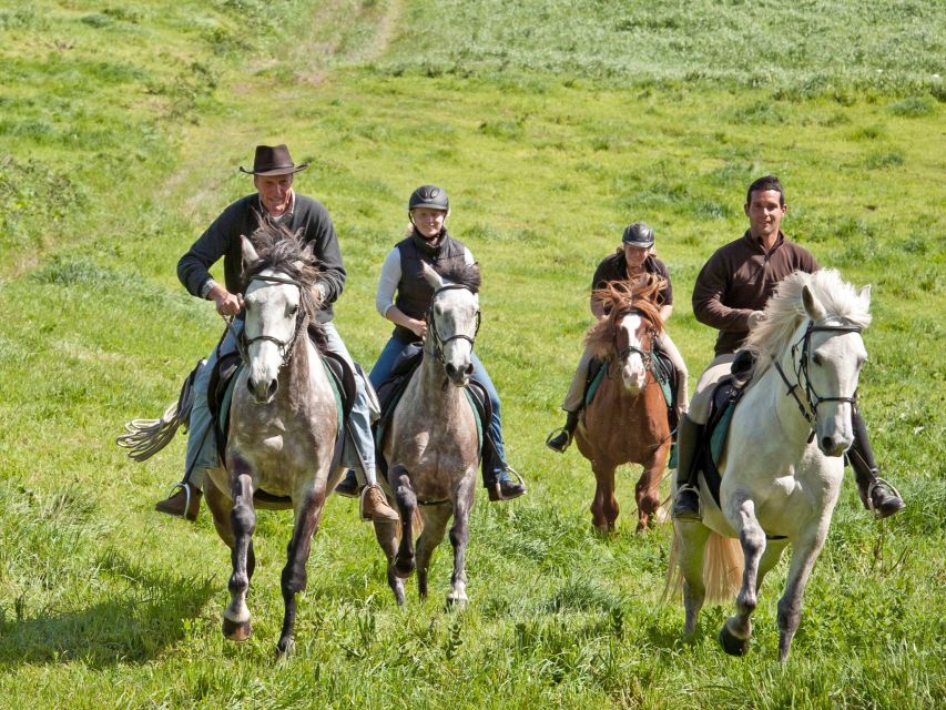 Faial Island: Horseback Riding (3 hrs - Experienced Riders) - Reaching the Atlantic cliffs on horseback